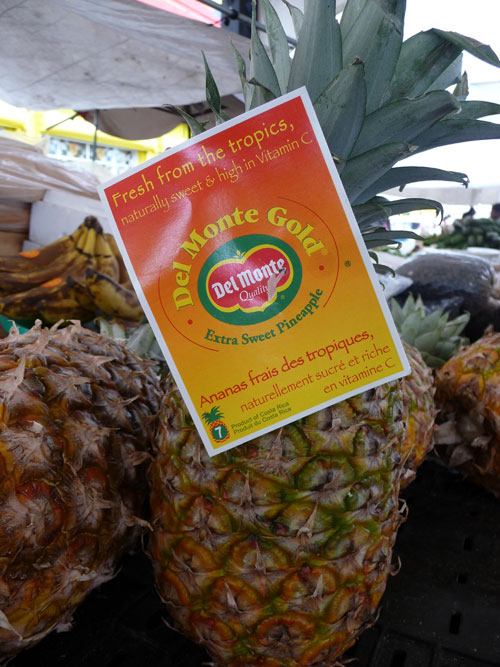 Florida Market Pineapple